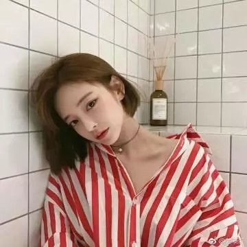 朝圣之路